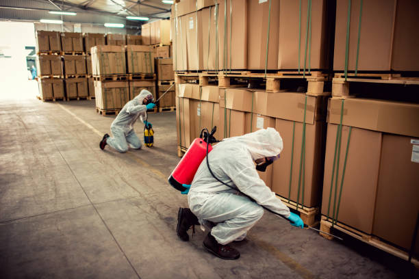 Best Pest Inspection Near Me  in Lone Star, TX