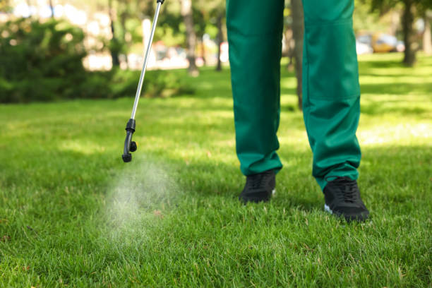 Best Rodent Control Near Me  in Lone Star, TX
