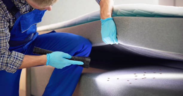 Trusted Lone Star, TX Pest Control Experts